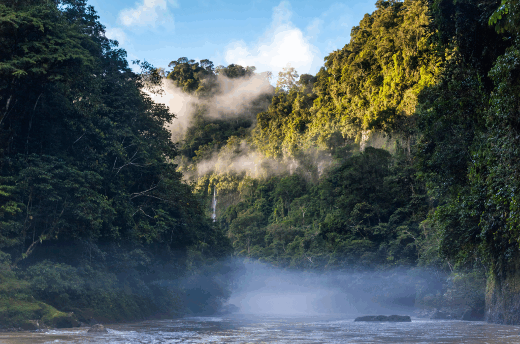 L'Ecuador è un piccolo concentrato di biodiversità. Un itinerario su misura alla scoperta di questo territorio variegato, culla della civiltà Inca e della cultura Andina.