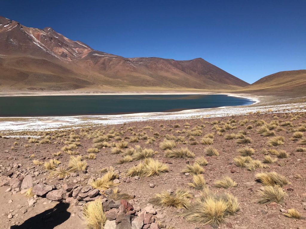 Tour di gruppo in italiano. Un itinerario mozzafiato per scoprire la maestosità della natura del Cile, da nord a Sud.