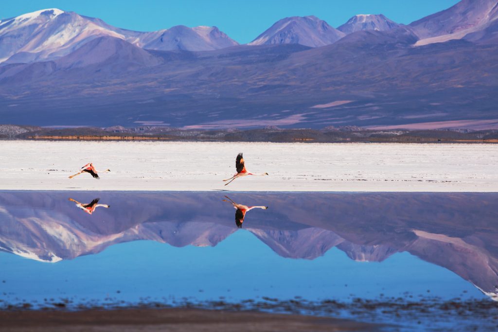 La magia dei Salar e l'autenticità della Bolivia. Tour di gruppo con partenze a date fisse e visite ed escursioni in italiano.