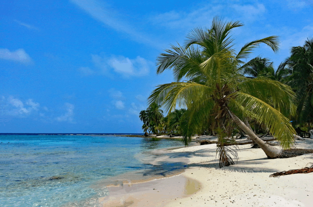 Panama tra storia, cultura e natura: Canale, Casco Viejo, comunità Embera, festival tradizionali e le paradisiache isole di San Blas.
