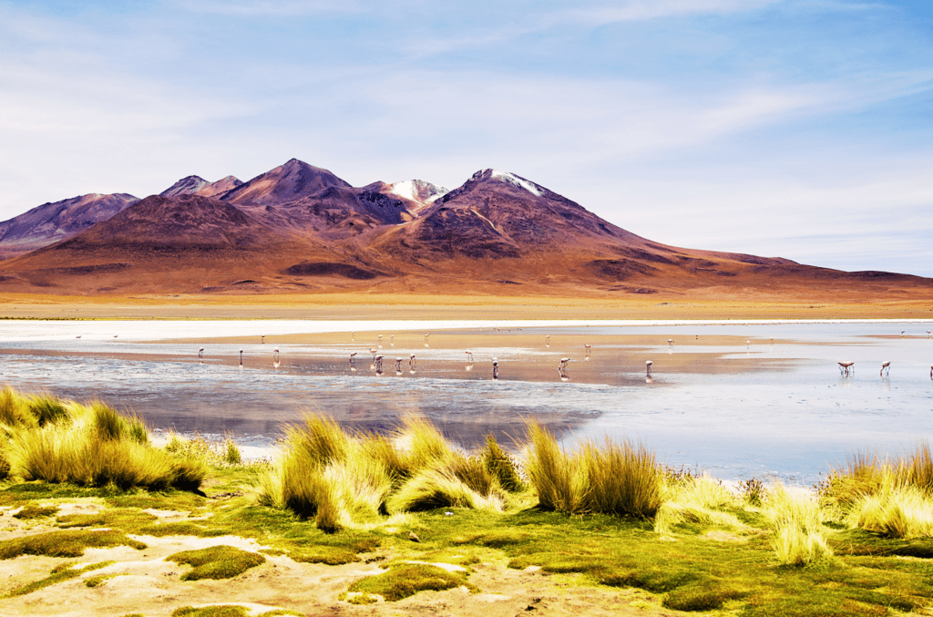 Un viaggio straordinario tra Cile e Bolivia, dalle città coloniali ai deserti più spettacolari del mondo, tra lagune colorate, geyser, cieli stellati e il leggendario Salar de Uyuni.